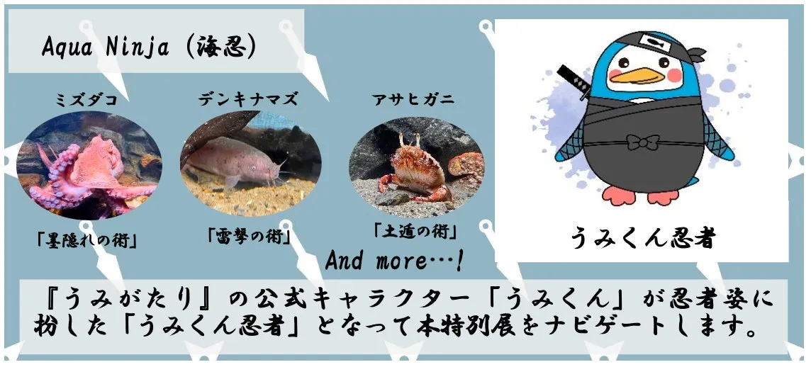 うみがたり特別展「Kenshin Ninja Aquarium」キャラクターと展示紹介