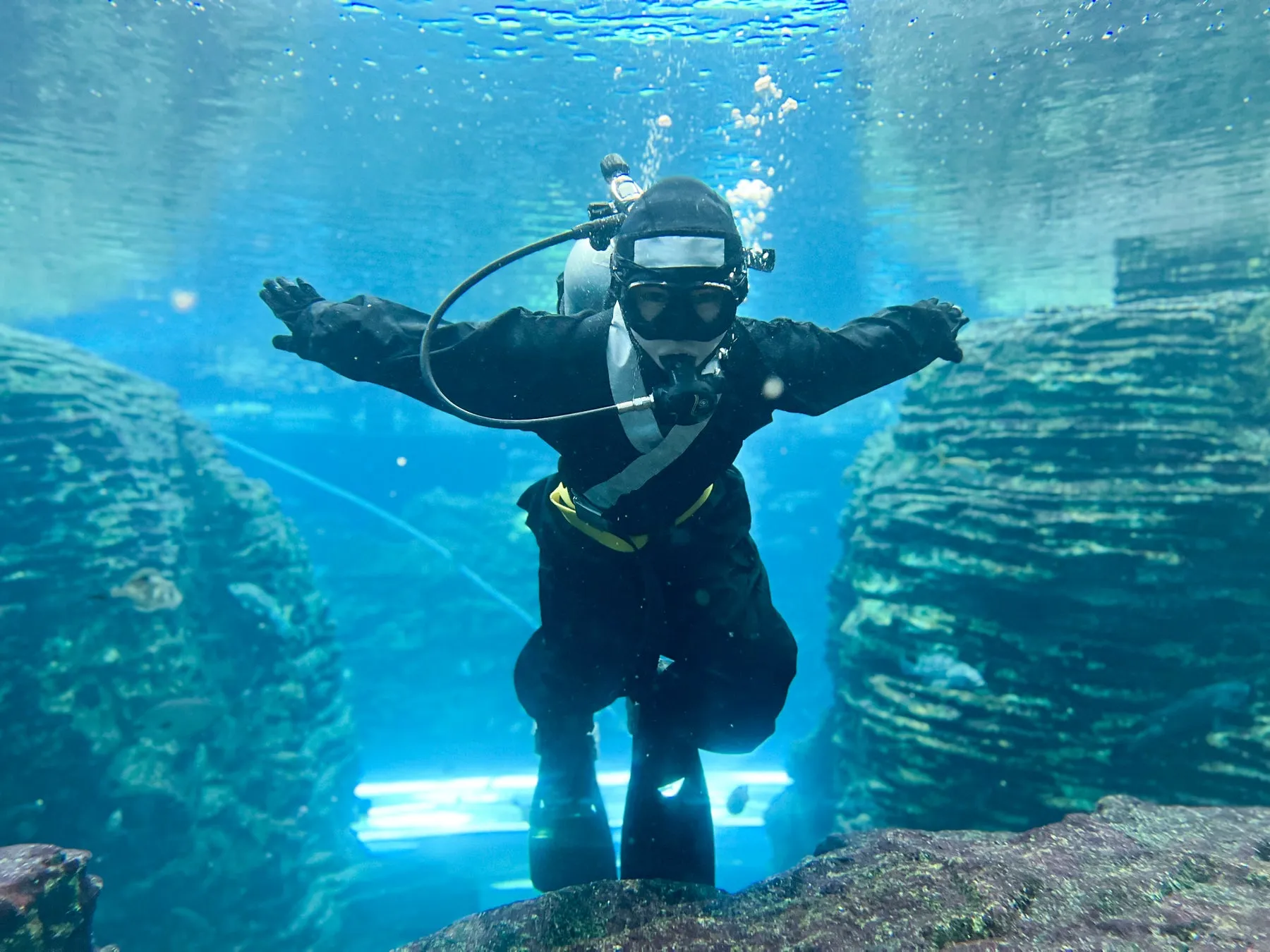 忍者の衣装を着たダイバーが水槽の中を泳いでいる様子