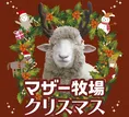 今年のマザー牧場クリスマスにトナカイひつじが登場！？