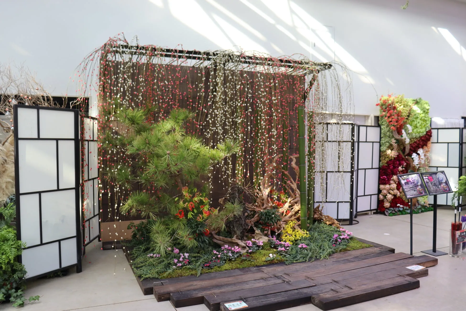 日本庭園の装飾と松の木がある室内風景