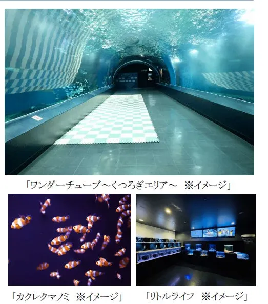 マクセルアクアパーク品川のワンダーチューブとカクレクマノミ、リトルライフの展示エリア
