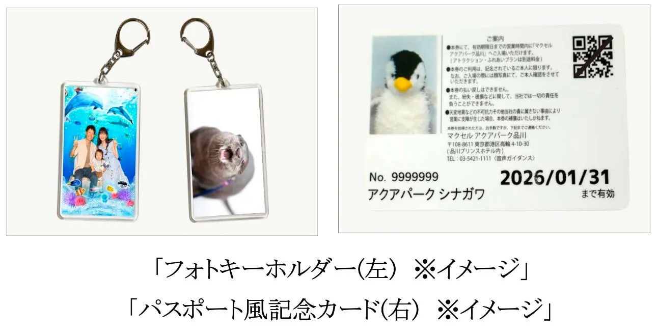 アクアパーク品川のフォトキーホルダーとパスポート風記念カード