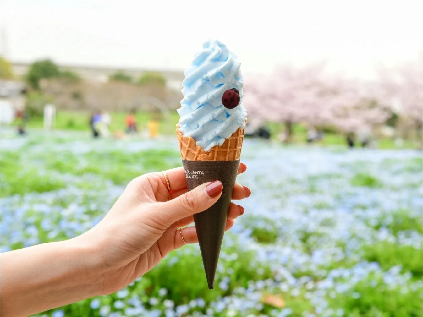 ネモフィラソフト