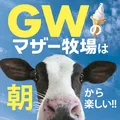 【GW限定】マザー牧場のひつじ大放牧＆ネモフィラ絶景がすごい