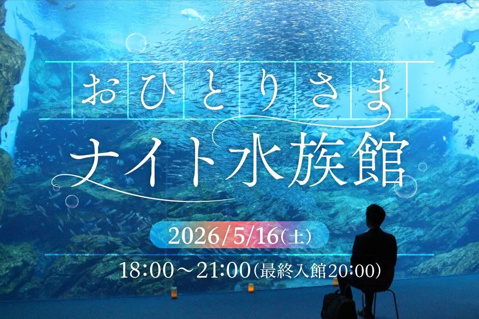 おひとりさまナイト水族館2026年5月16日、仙台うみの杜水族館