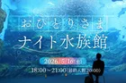 【大人限定】夜の水族館がエモすぎる…ひとり時間を満喫