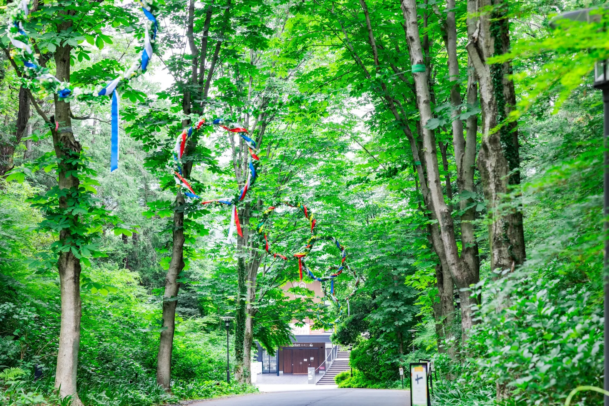 緑の木々と装飾された輪が吊るされた林道