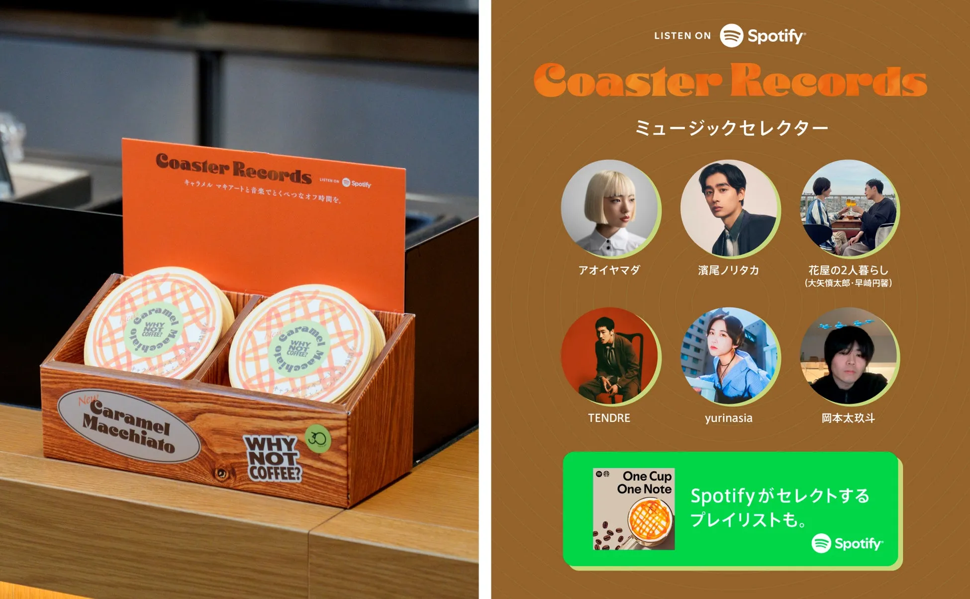 TENDREアーティスト写真