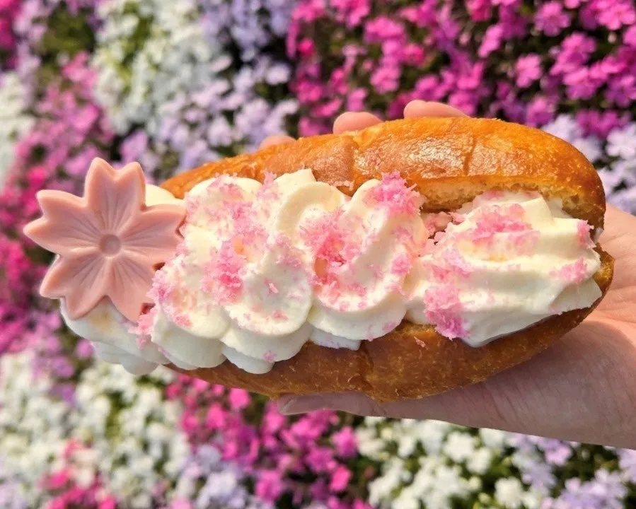 桜の花のトッピング付きクリームパン