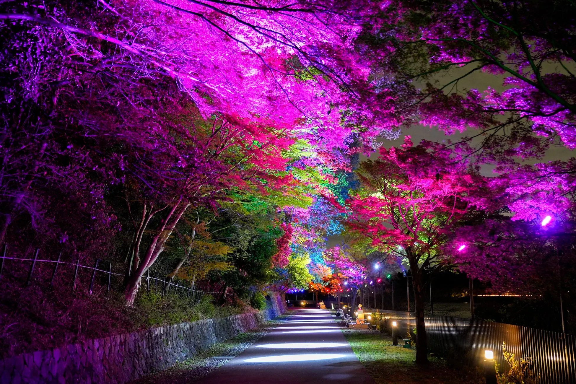 ライトアップされたムーミン谷の夜間風景