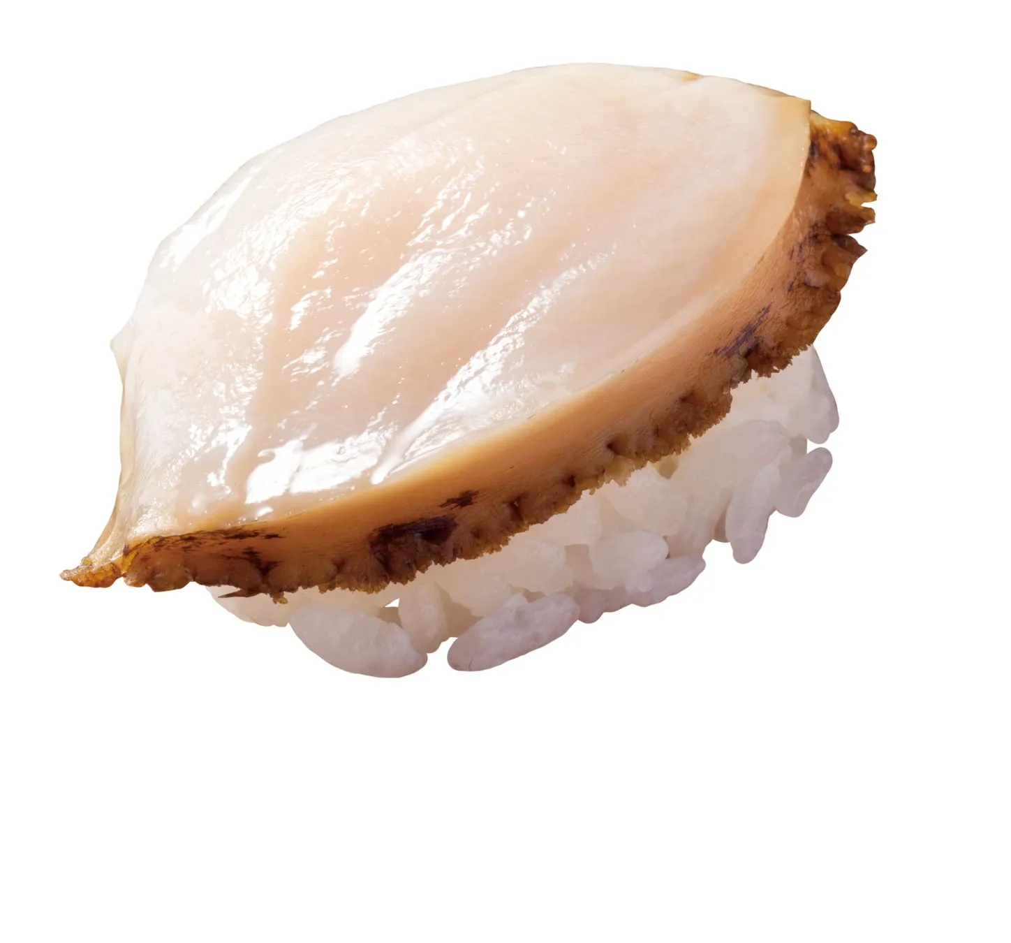 新鮮な貝が載ったはま寿司の寿司