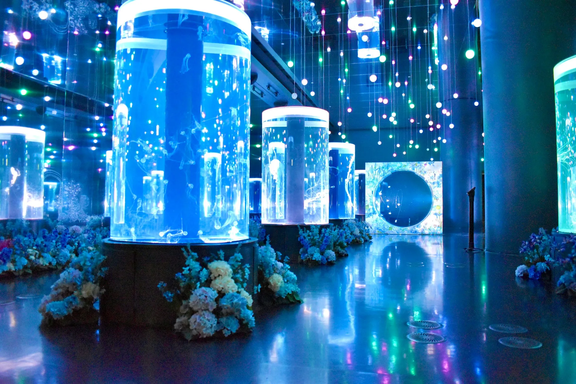 クラゲと花が美しいマクセル アクアパーク品川の展示