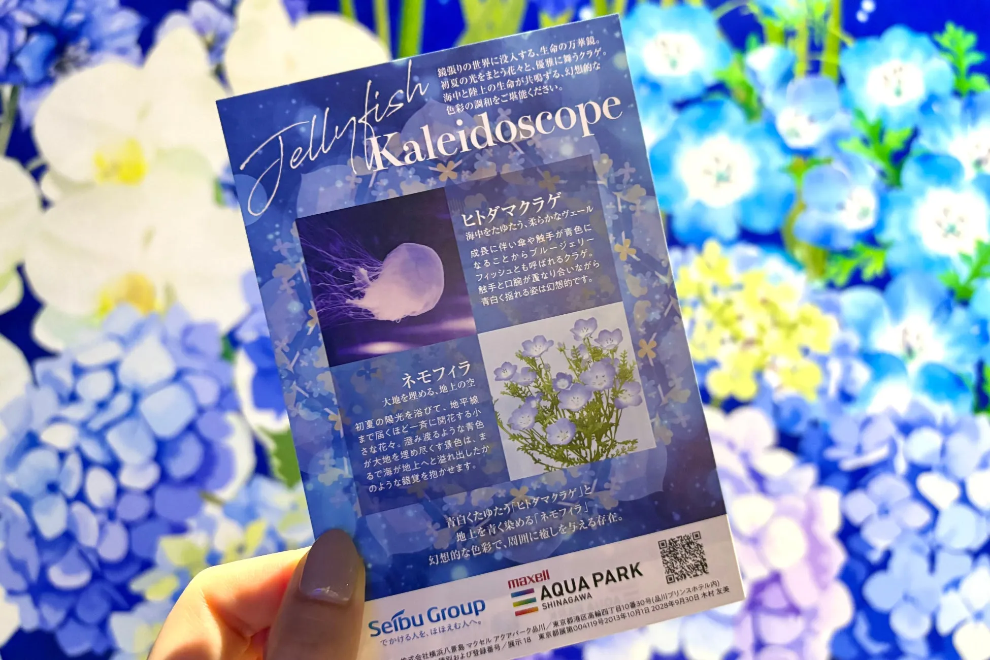 イベントパンフレットと背景の花