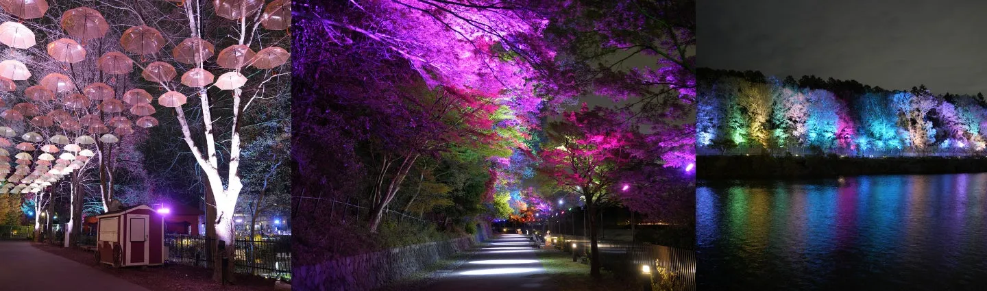 ムーミンバレーパークの夜のライトアップ景観