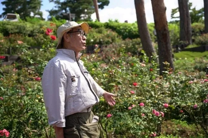 西武園ゆうえんちのバラ庭園でバラを解説する園芸家