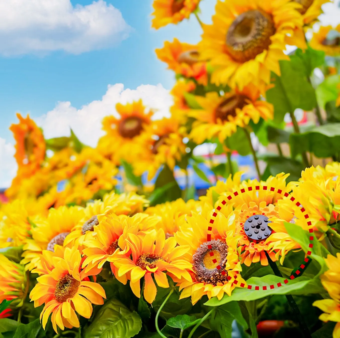 ひまわりに隠れたレゴの花