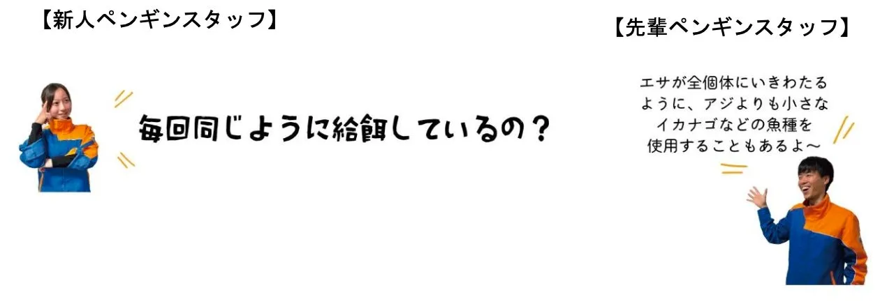 ペンギンスタッフの会話が描かれた画像