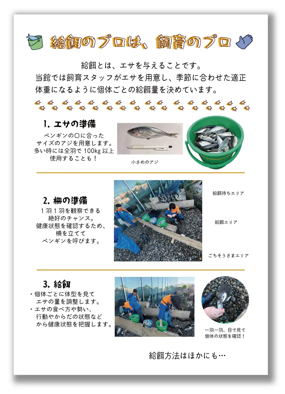 ペンギンのエサ準備と給餌の説明パネル