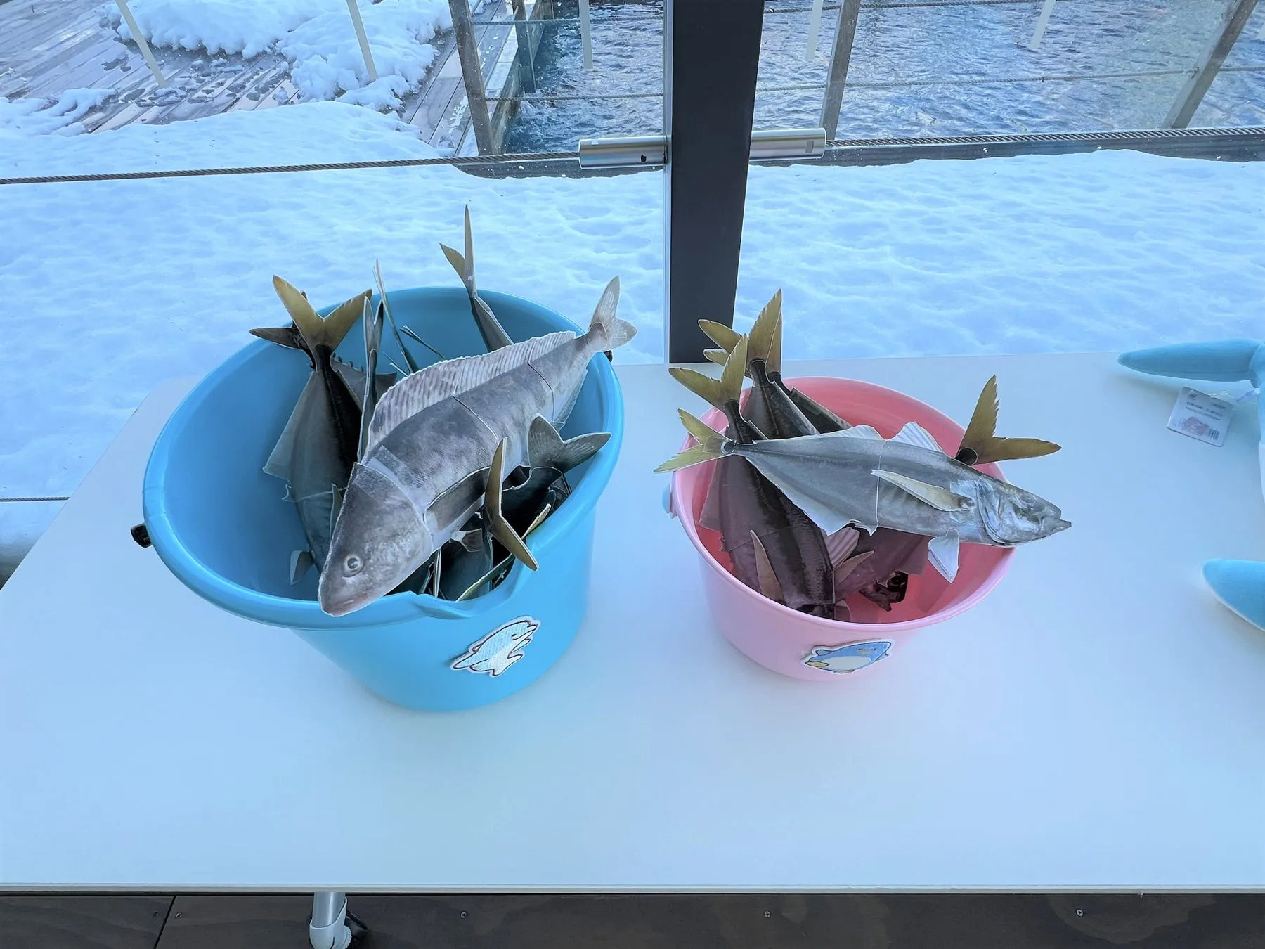 ペンギンのエサやり体験用の模型魚が入った青とピンクのバケツ