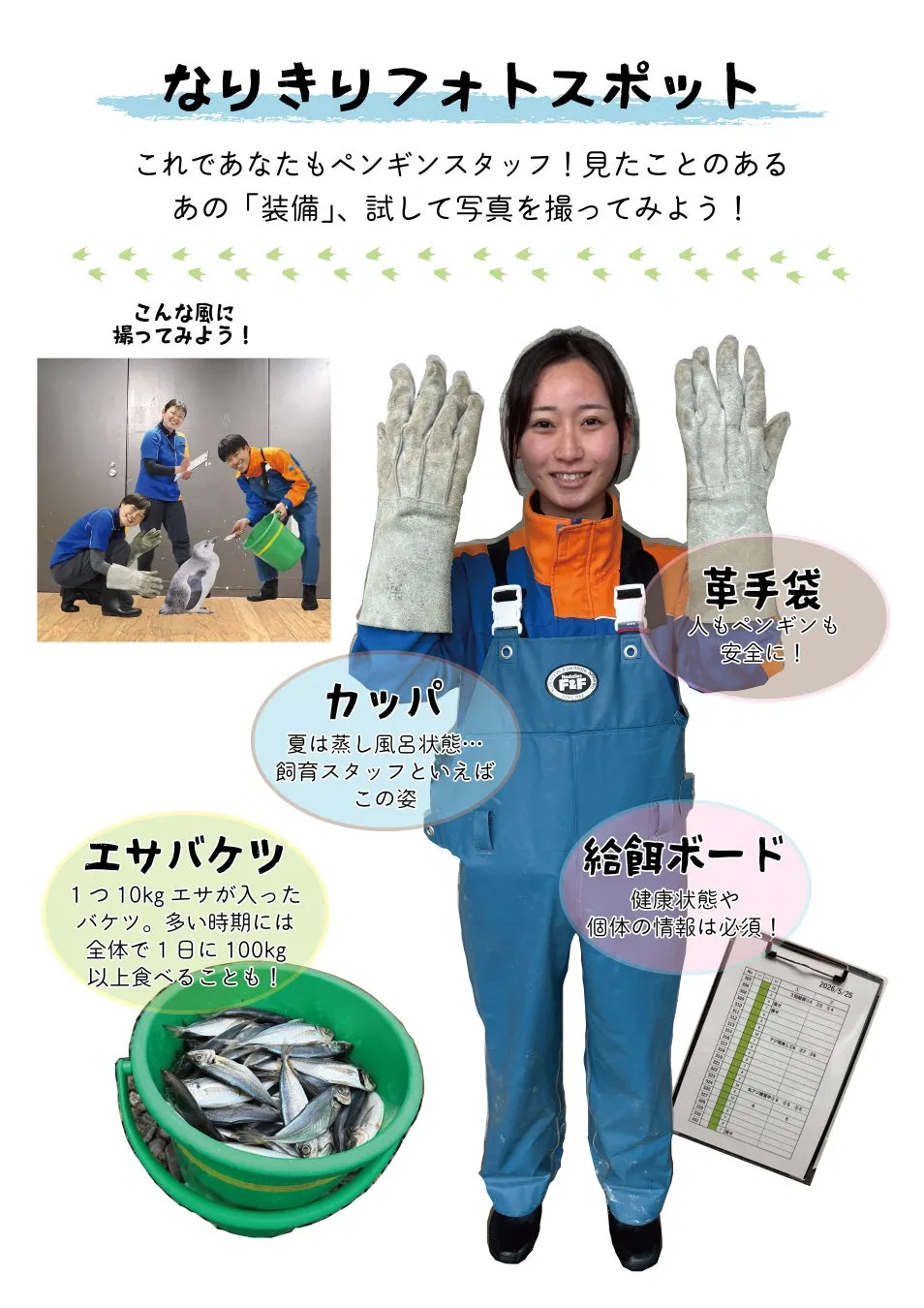 ペンギンスタッフ体験プロモーション画像