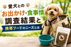 愛犬とのお出かけ・食事情調査結果と携帯フードのニーズとは