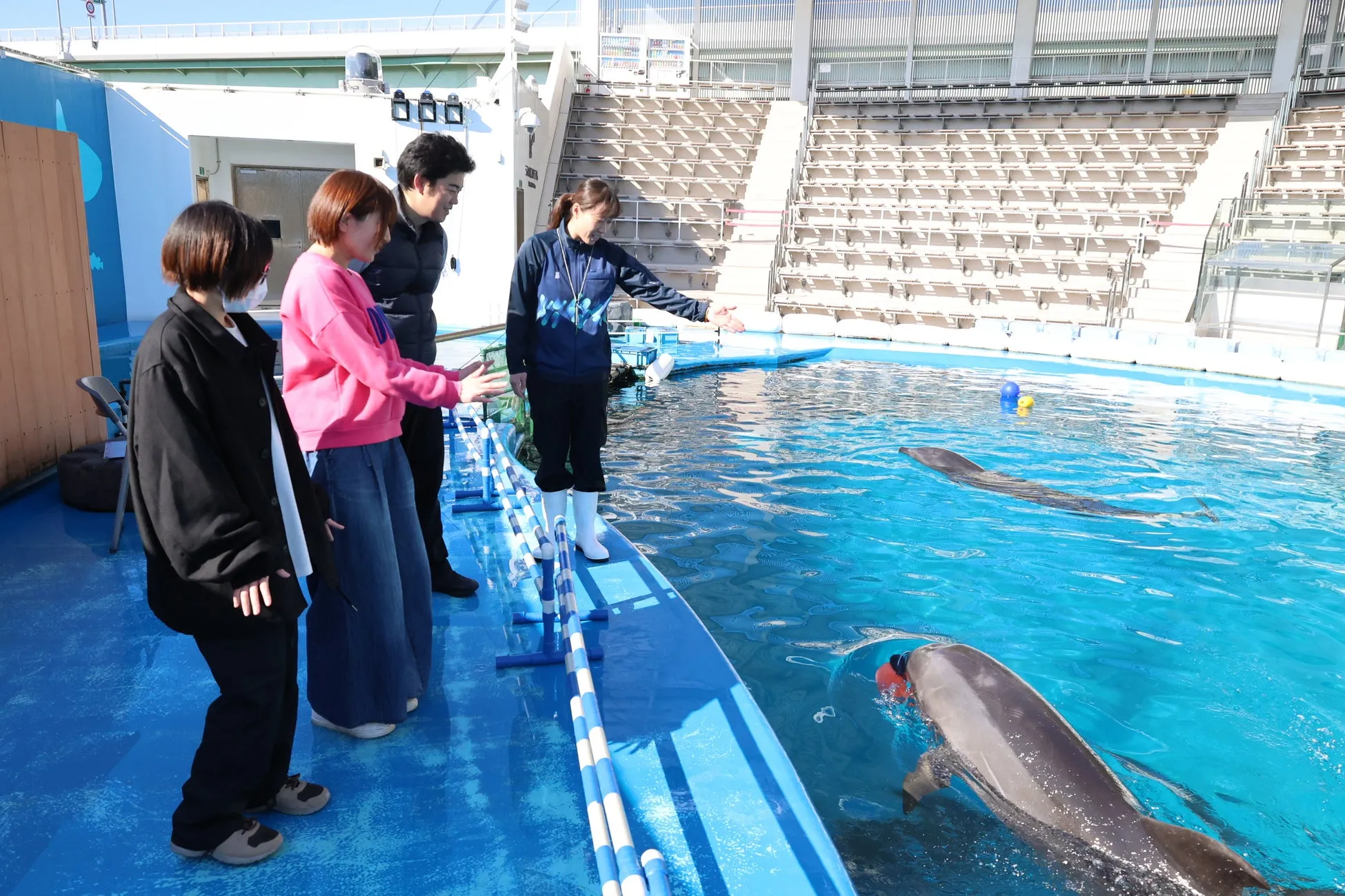 仙台うみの杜水族館でのイルカイベントの様子