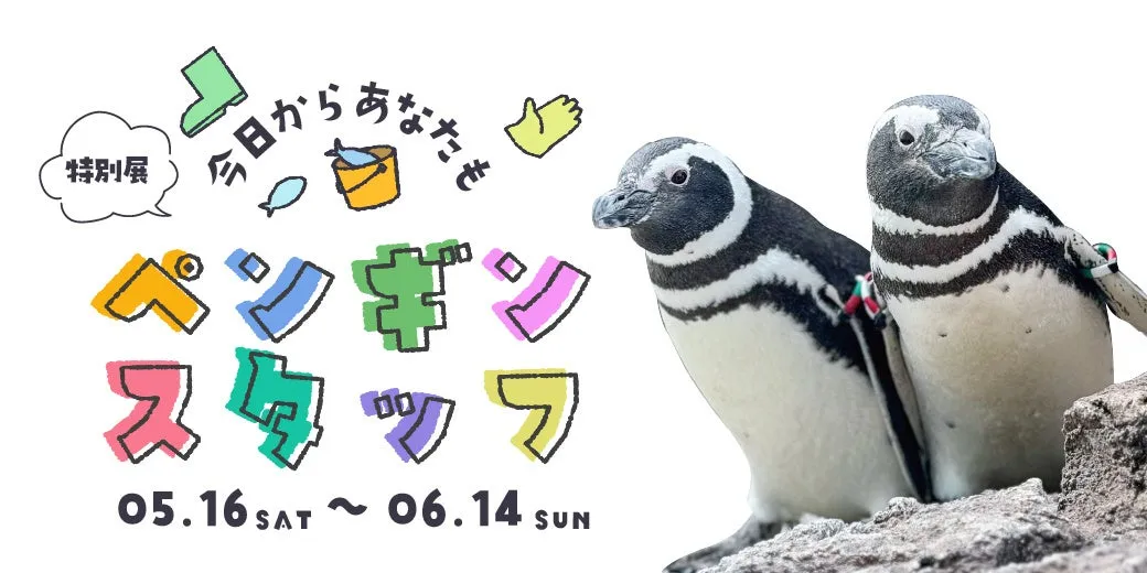 ペンギンスタッフ特別展プロモーション画像