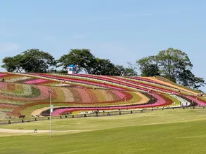 AIが描いた理想郷を完全再現！東京ドイツ村「いろどりの丘」...