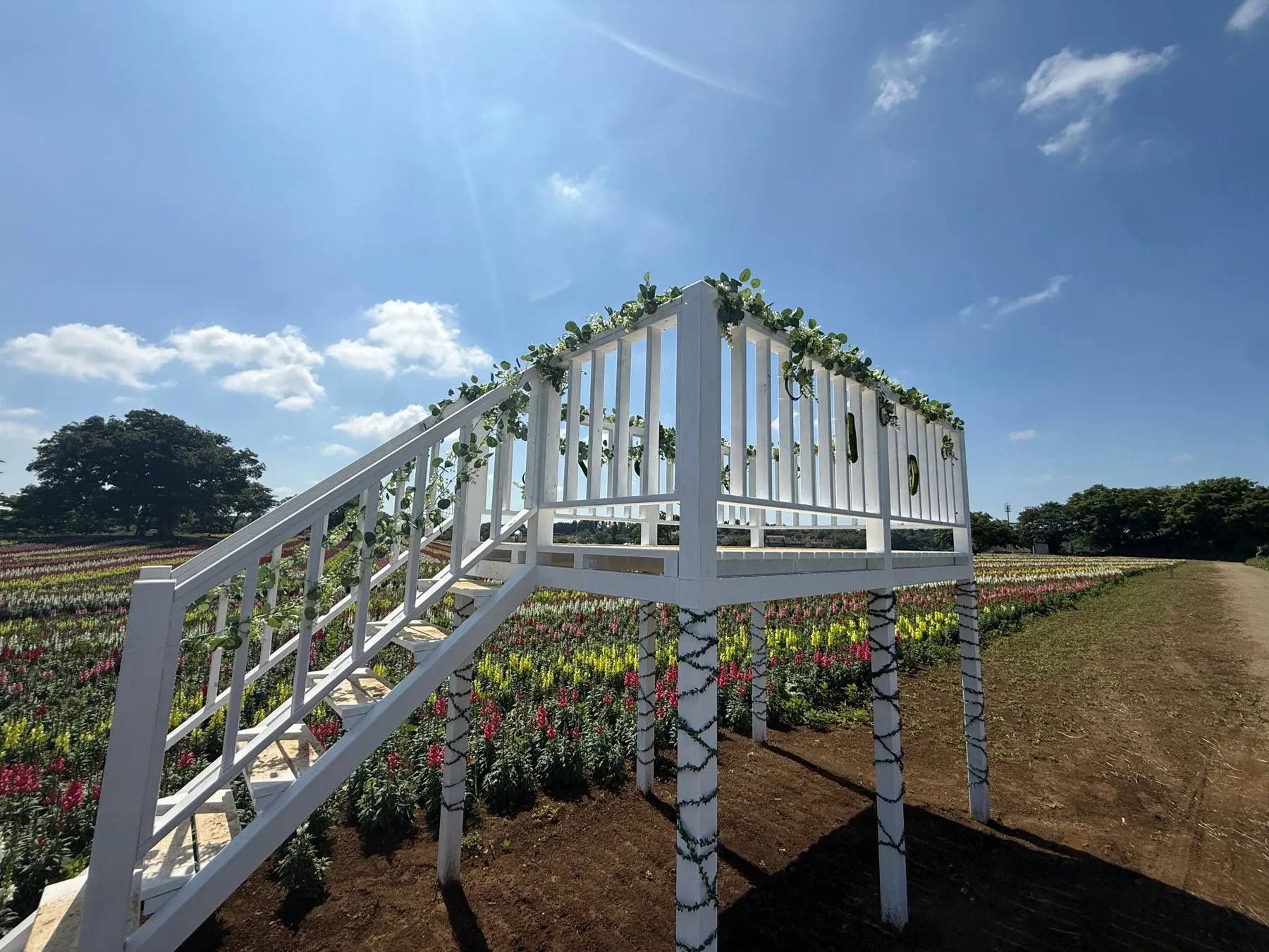 東京ドイツ村の花畑と展望デッキ