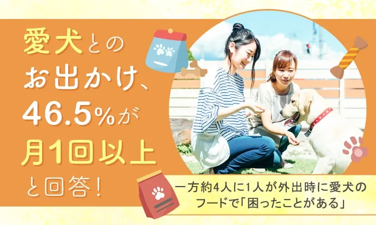 愛犬とのお出かけに関する調査イメージ