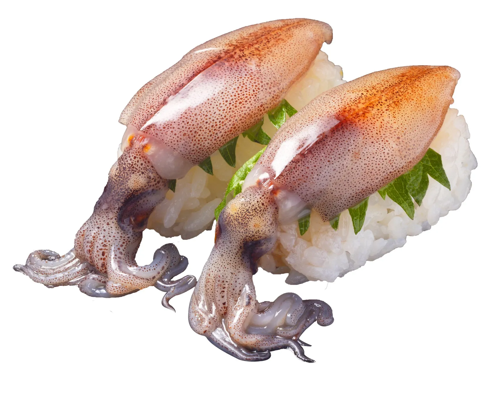 ホタルイカの握り寿司