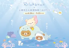 リラックマと上越市立水族博物館うみがたりが初コラボ！2026年夏限定イベント徹底解説