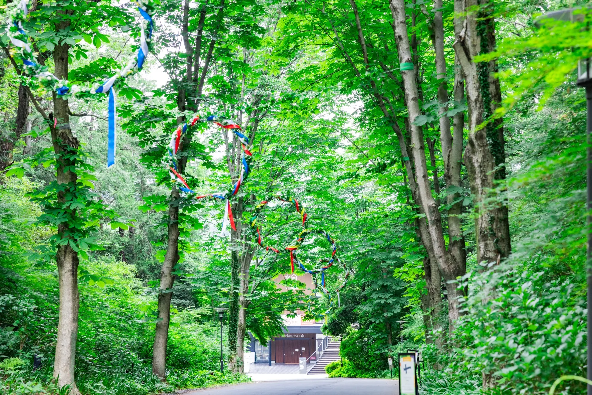 森の中に吊るされた色とりどりの花冠