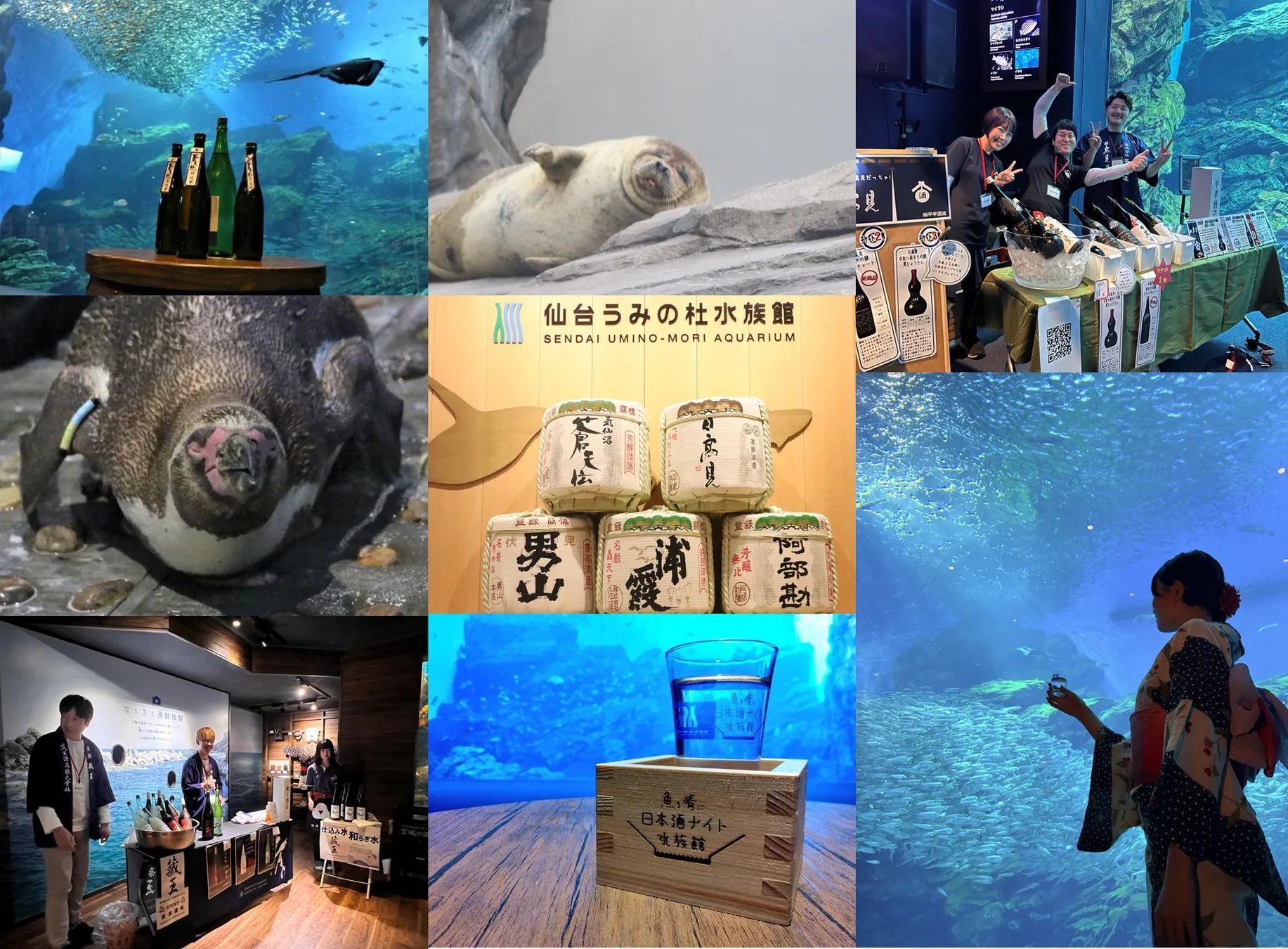 仙台うみの杜水族館の日本酒ナイトイベント