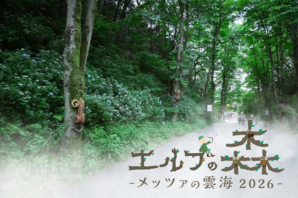 エルフの森の小道