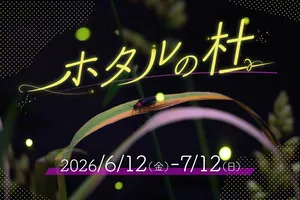 仙台うみの杜水族館で初夏限定「ホタルの杜」幻想ホタル展示...