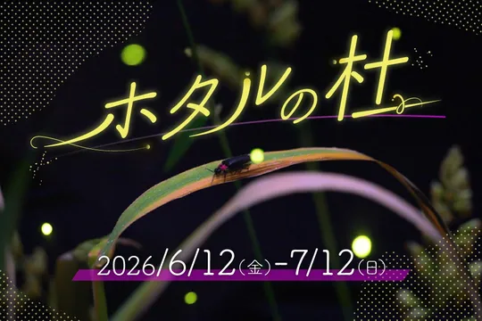 仙台うみの杜水族館で初夏限定「ホタルの杜」幻想ホタル展示と一夜限りのナイト観察会
