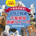 千葉県民限定！マザー牧場「千葉県民感謝ウィーク」でこども入場無料＆大人割引