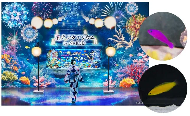 花火アクアリウムとカラフルな魚