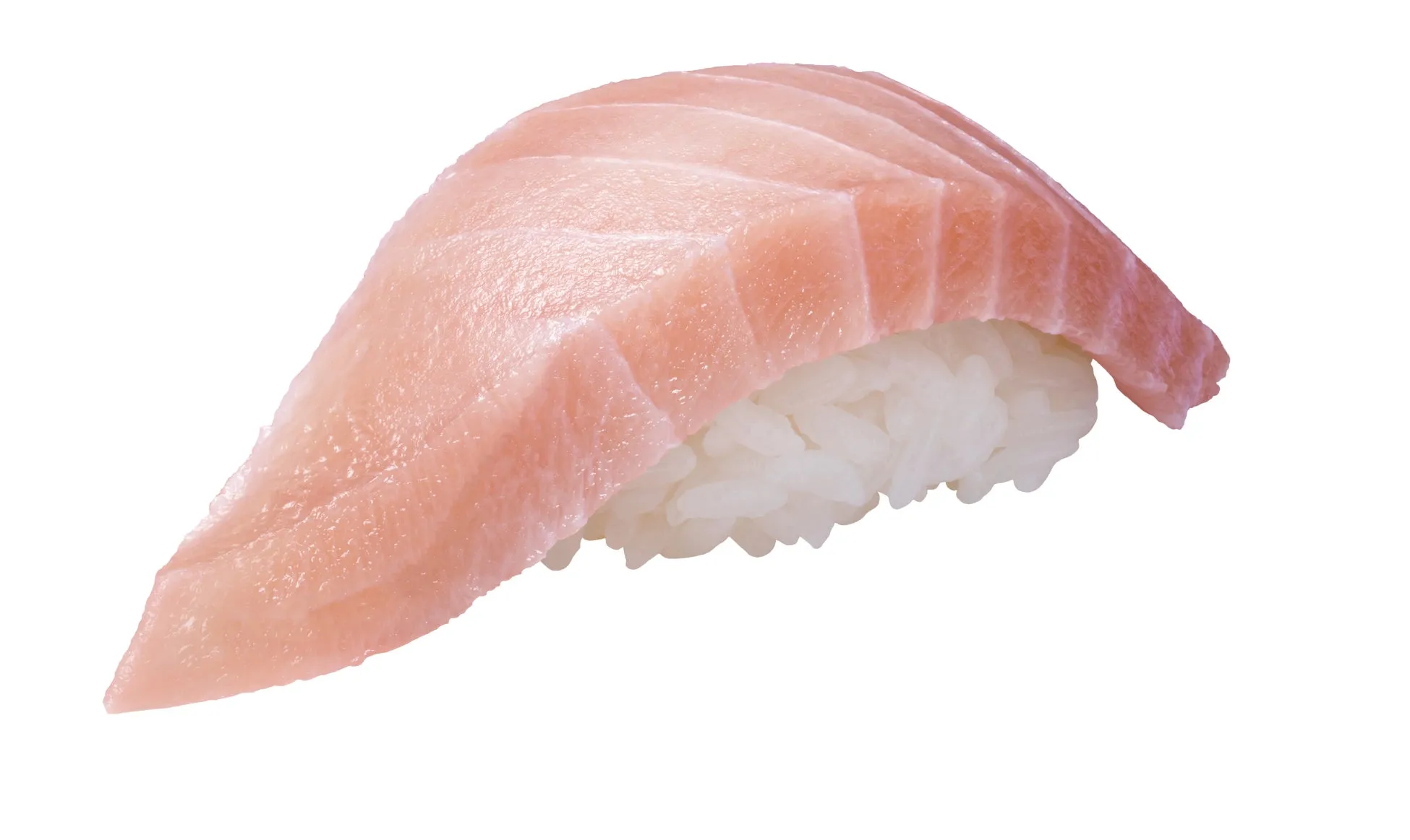 ビンチョウマグロの大とろ寿司