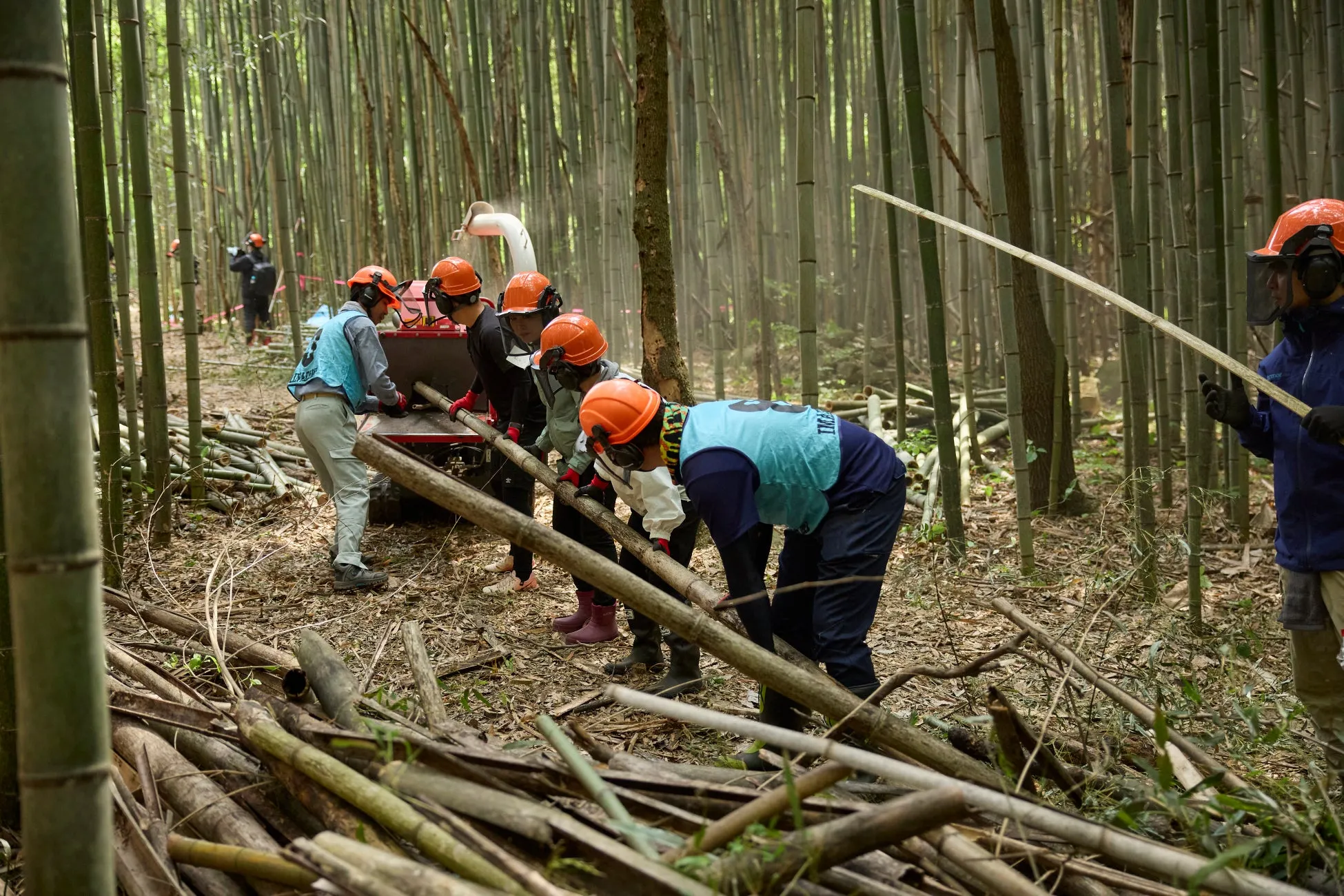 竹林で作業する人々
