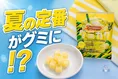セブン-イレブン店舗限定「ライフガード味」がグミで新登場！