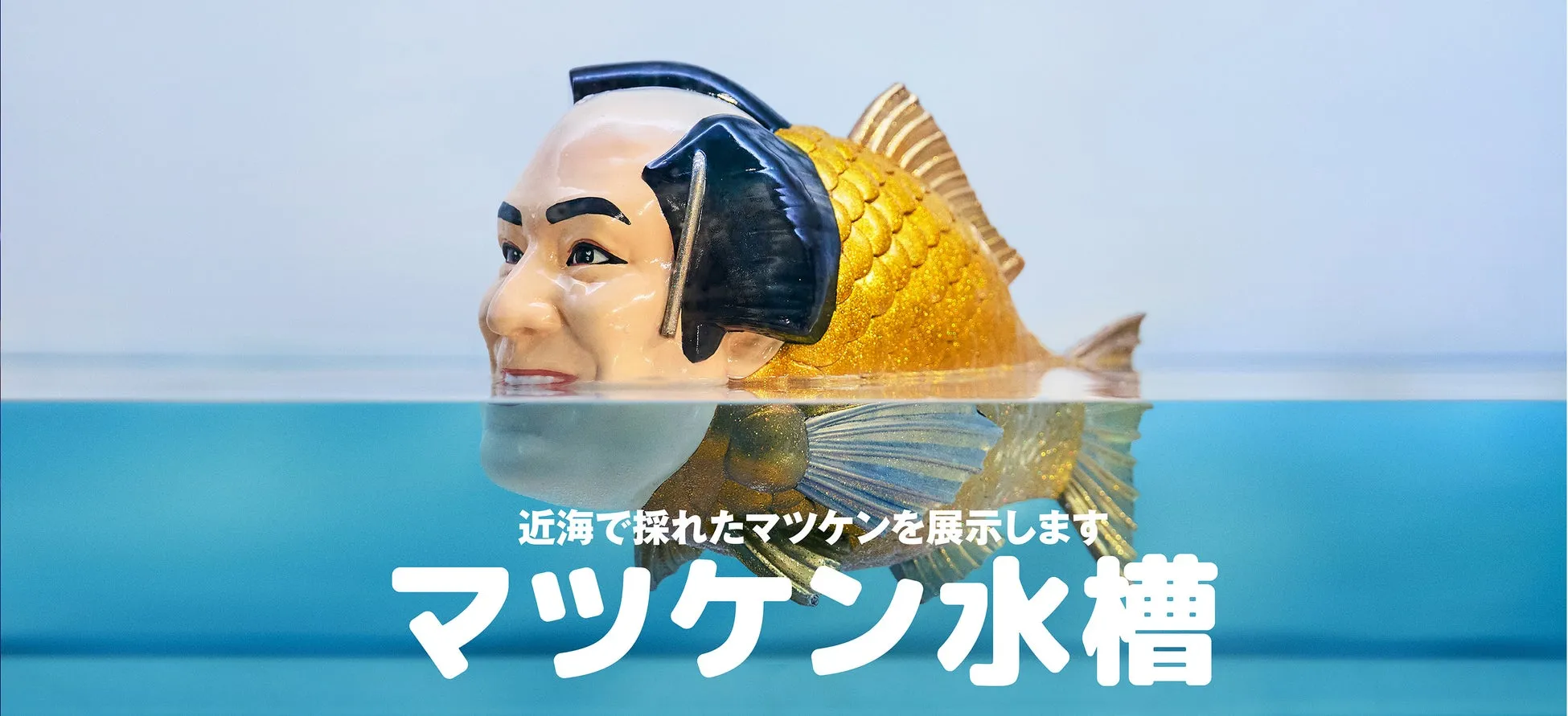 マツケン水槽“マツケン魚”の特別展示