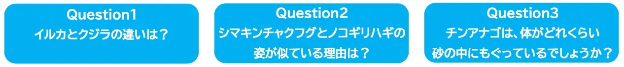 マクセル アクアパーク品川 課題学習プランの質問