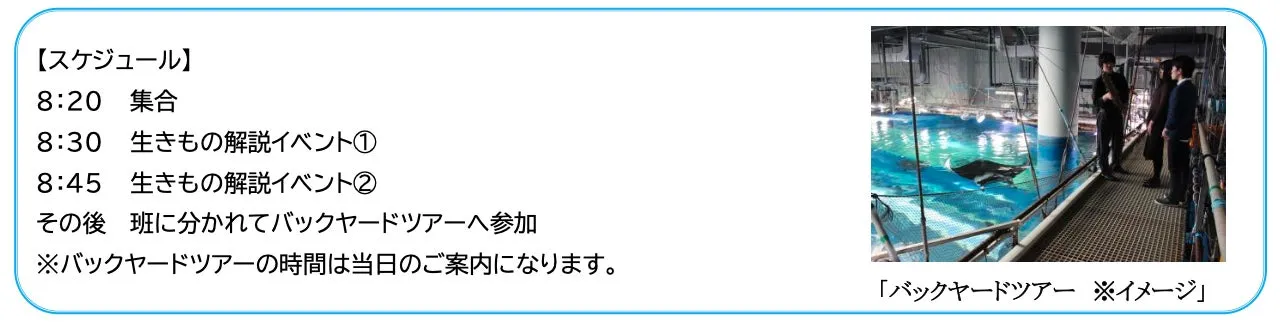 アクアパーク品川スケジュールとバックヤードツアー