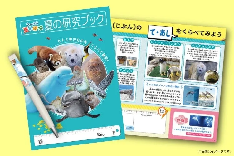 シーパラ夏の研究ブックの表紙と内部ページ