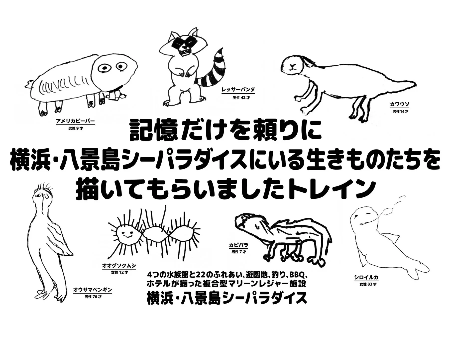 横浜・八景島シーパラダイスの生き物たちのユニークなイラスト