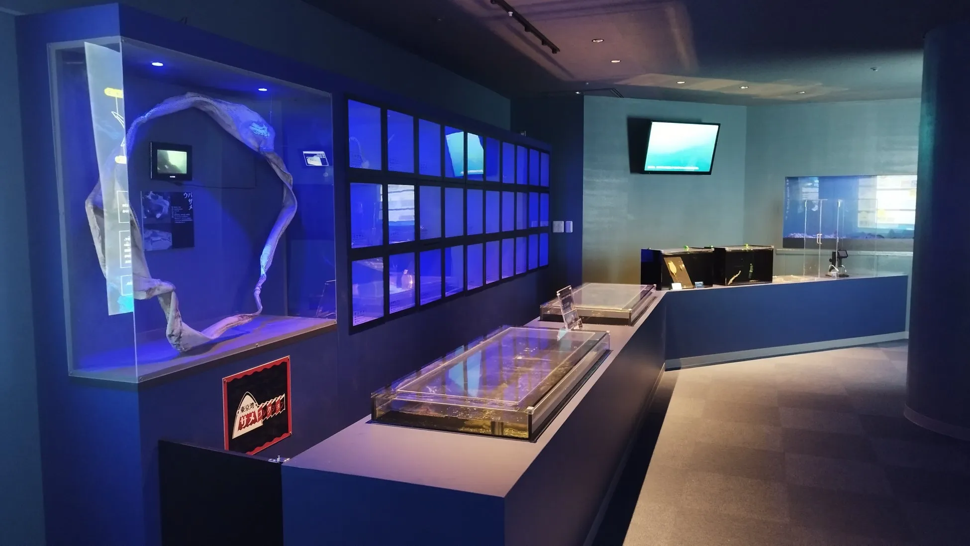 八景島シーパラダイスの展示エリアの様子