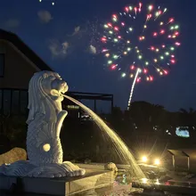 マザー牧場でシンガポール・ナショナルデー花火&盆踊り祭り 2...