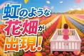 東京ドイツ村「究極のレインボー花畑」今秋初開催！コスモスや新デザイ...
